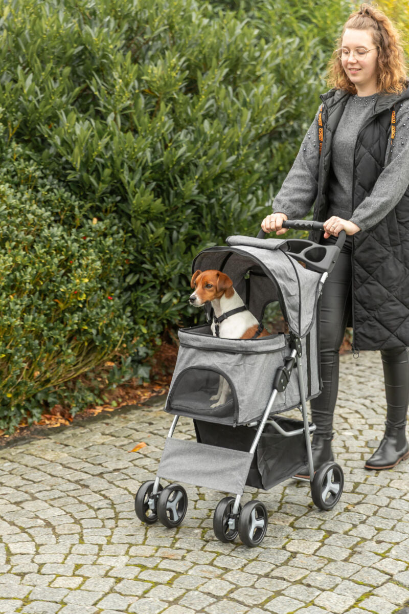 Frau schiebt einen grauen Hundebuggy mit kleinem Hund darin auf einem gepflasterten Weg.
