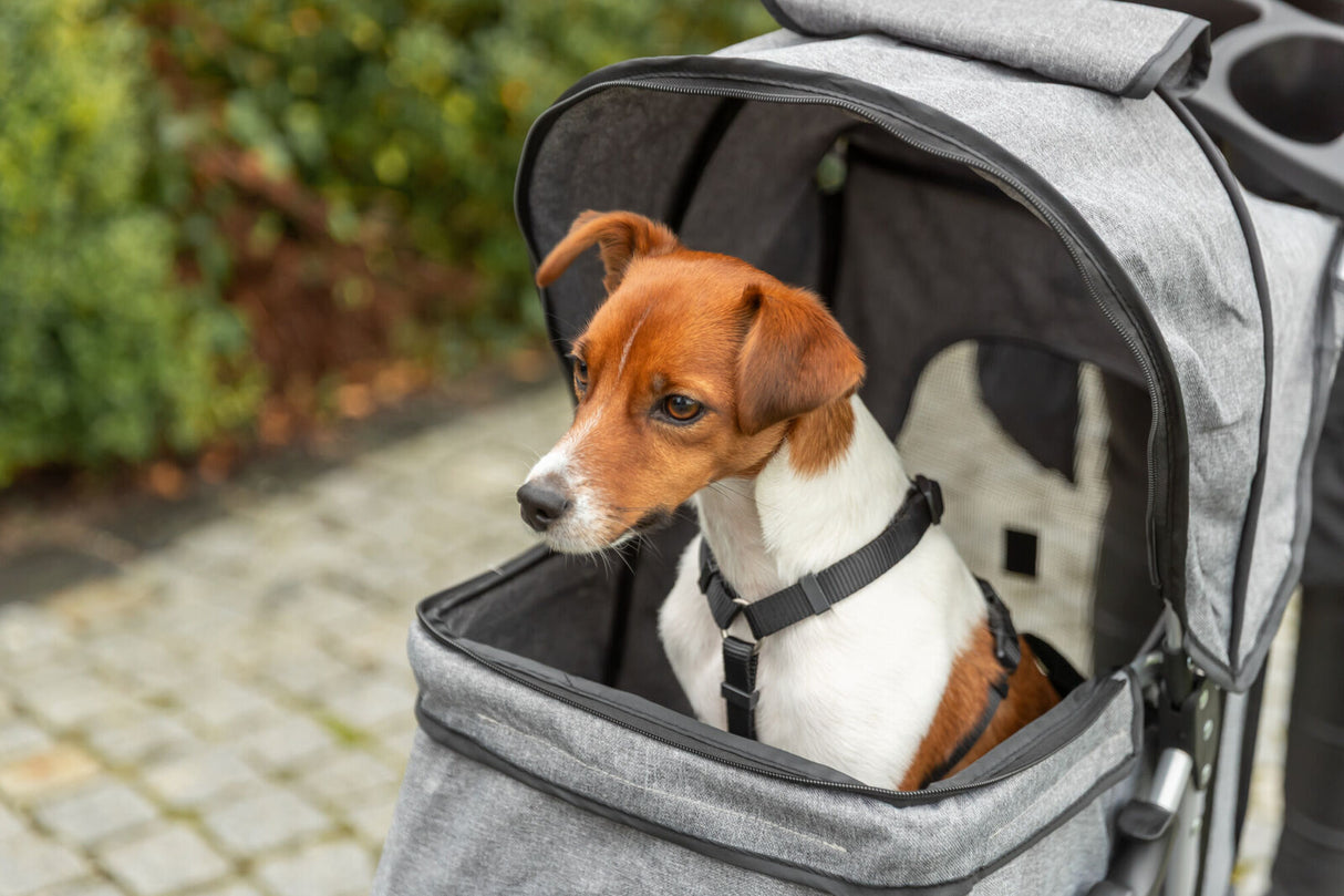 Buggy für Hunde