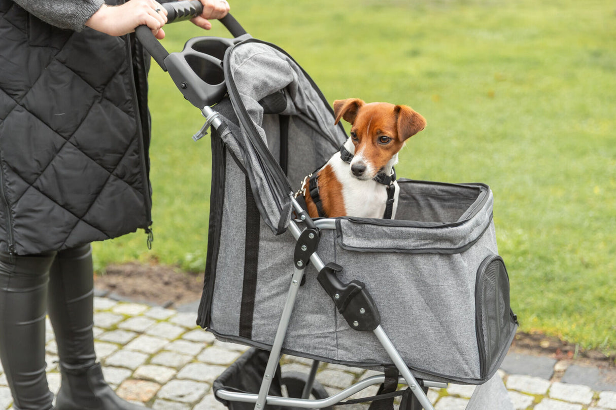 Ein kleiner Hund sitzt in einem grauen Transportwagen auf einem gepflasterten Weg im Freien.