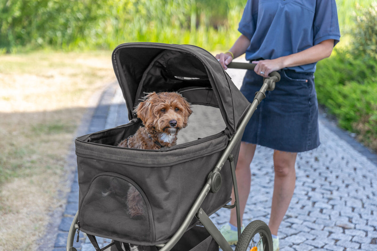 Eine Person schiebt einen schwarzen Kinderwagen mit einem kleinen, braunen Hund darin auf einem gepflasterten Weg.