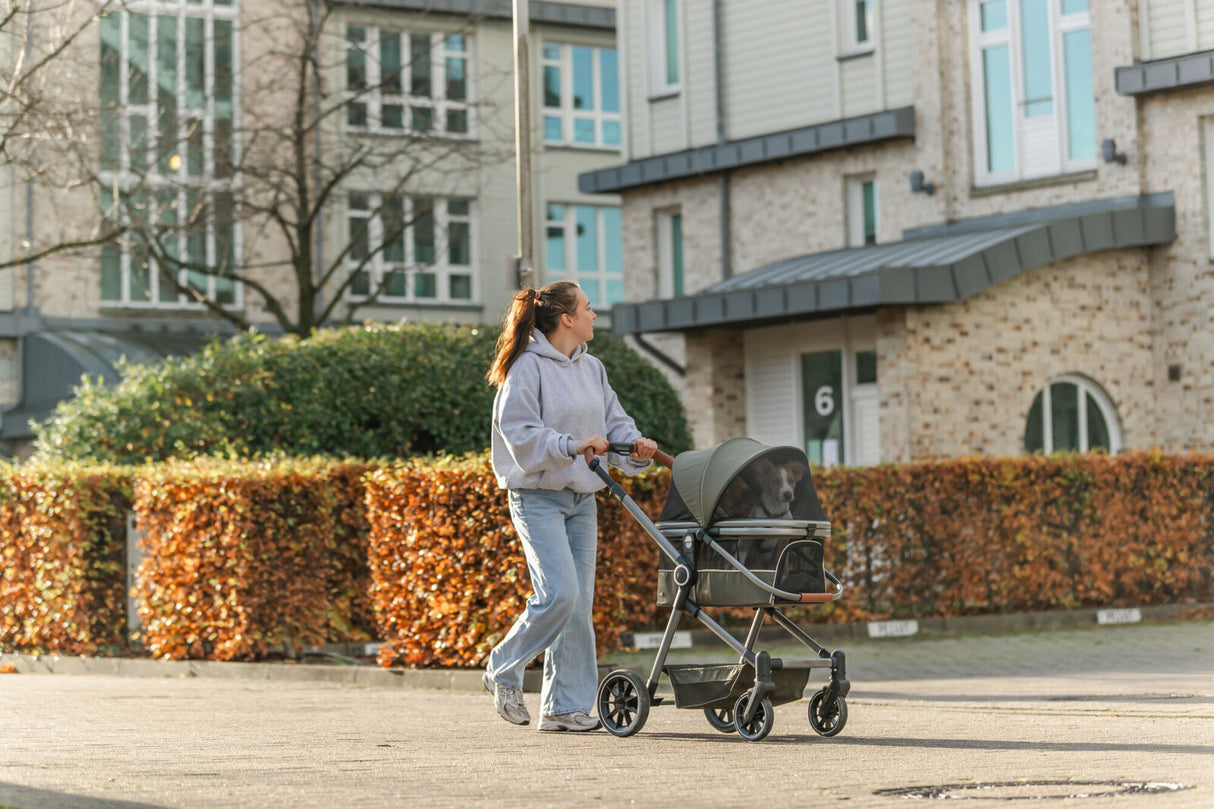 Frau schiebt Hund in Kinderwagen vor modernen Wohngebäuden entlang der Straße.
