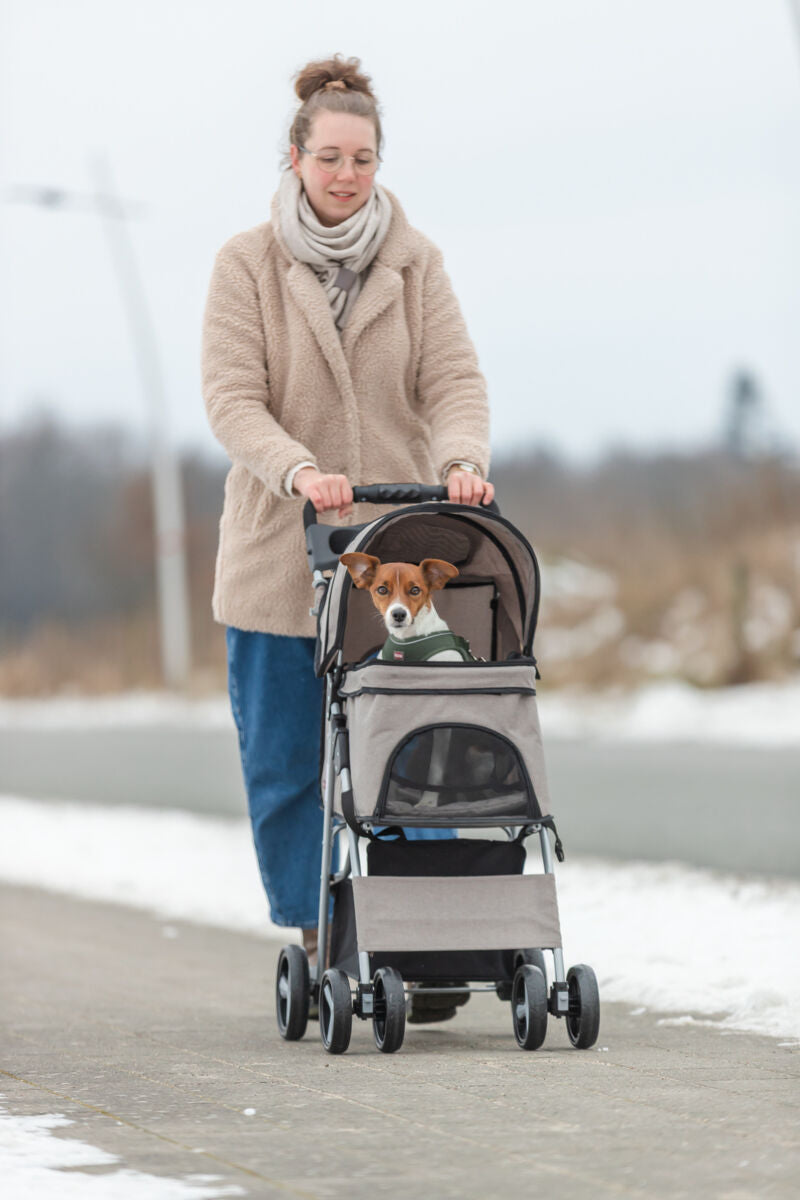 Frau schiebt Hund in grauem Kinderwagen über verschneiten Gehweg.