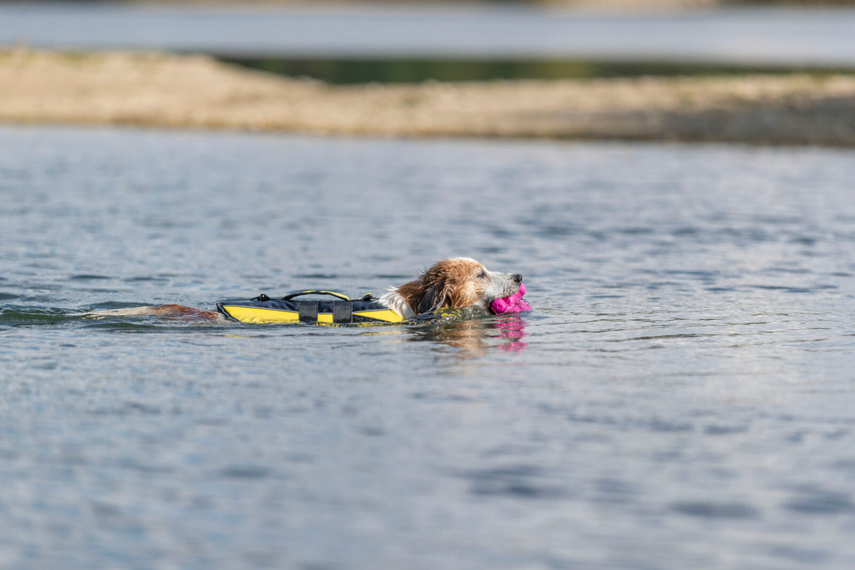 Hund schwimmt in Wasser, trägt gelbe Schwimmweste und hält pinkfarbenes Spielzeug im Maul.