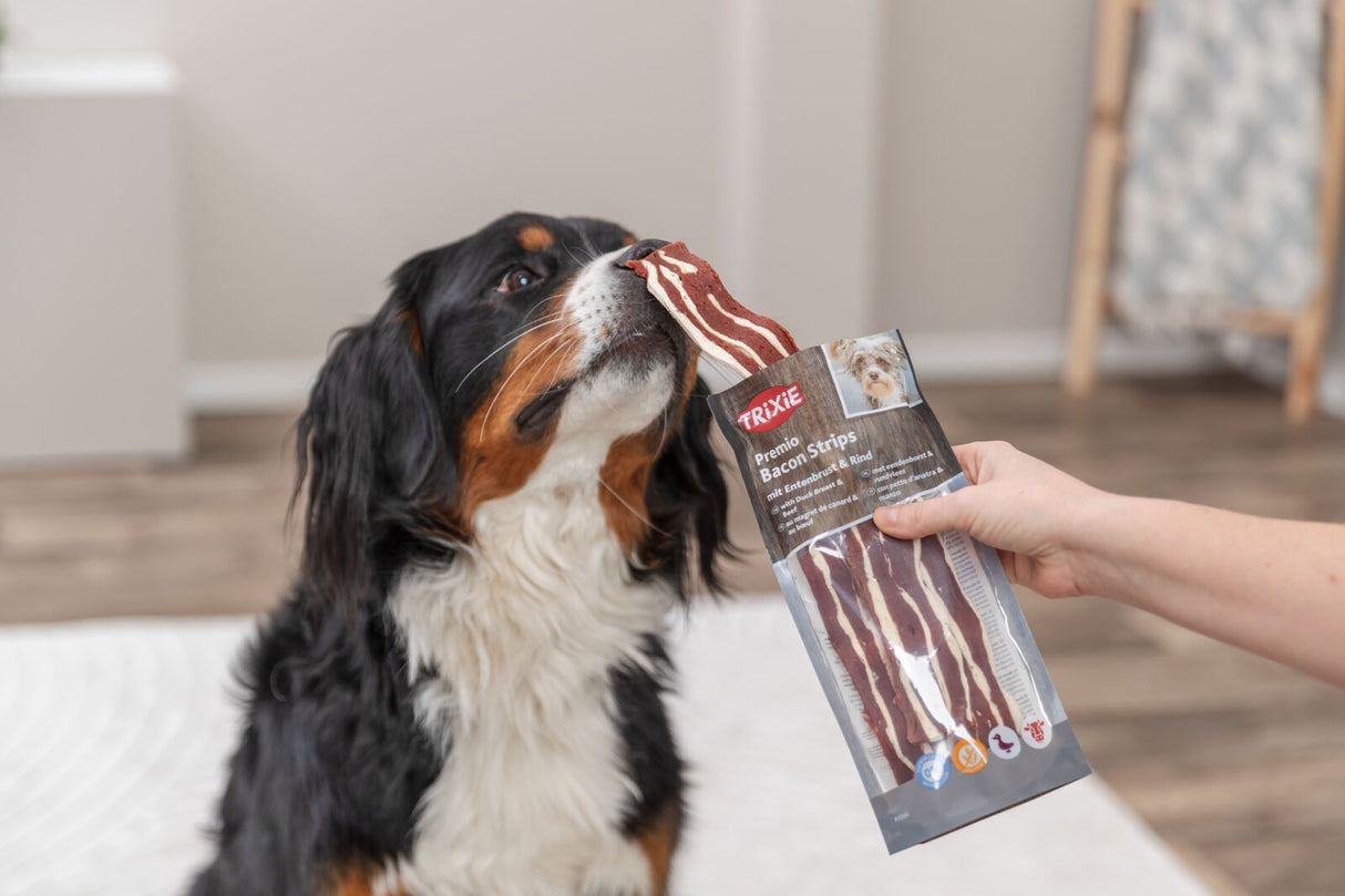 Ein Hund schnuppert an einer Tüte Trixie Premio Bacon Strips in einer Hand.