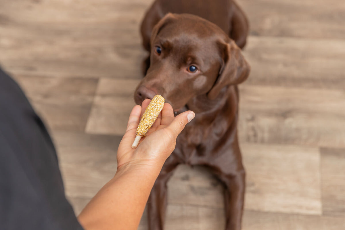Corn Dogs mit Ente