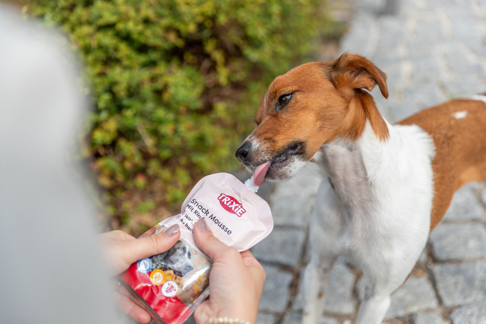 Snack Mousse mit Rind