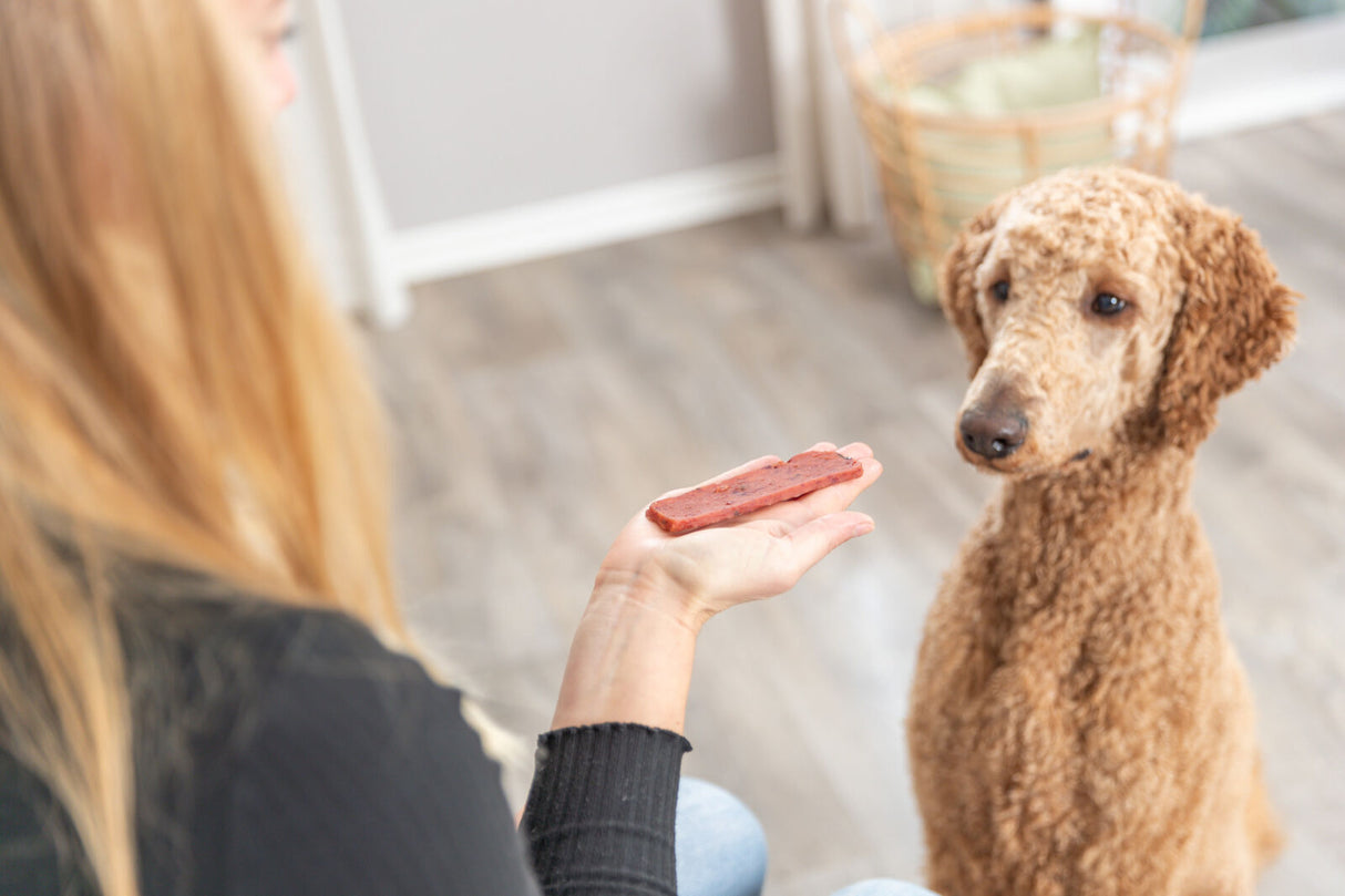 Eine Person hält ein rotes Leckerli in der Hand, während ein brauner Hund auf einem Holzboden sitzt.