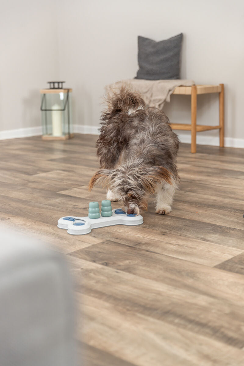 Flip Bone Strategiespiel