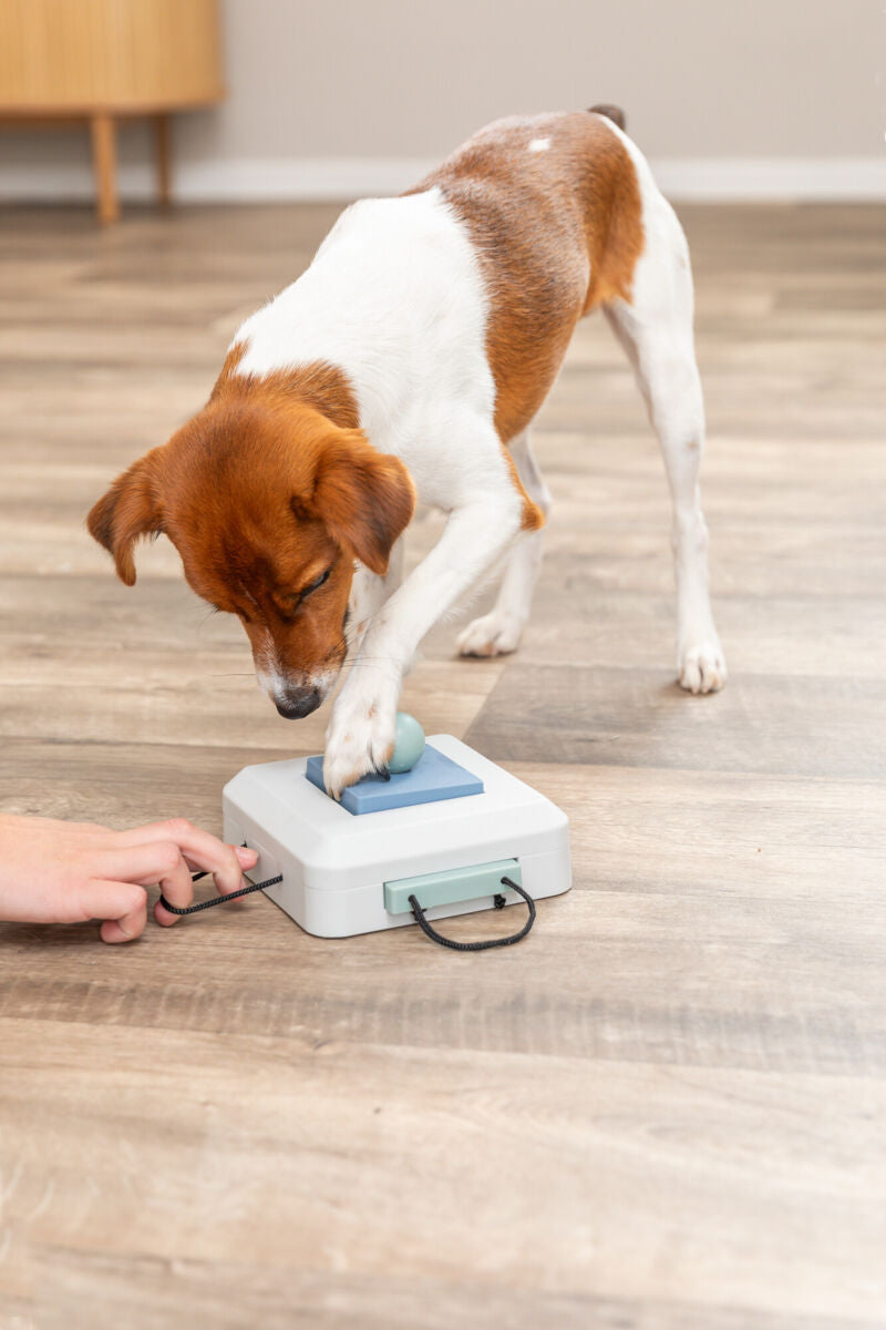 Gamble Box Strategiespiel