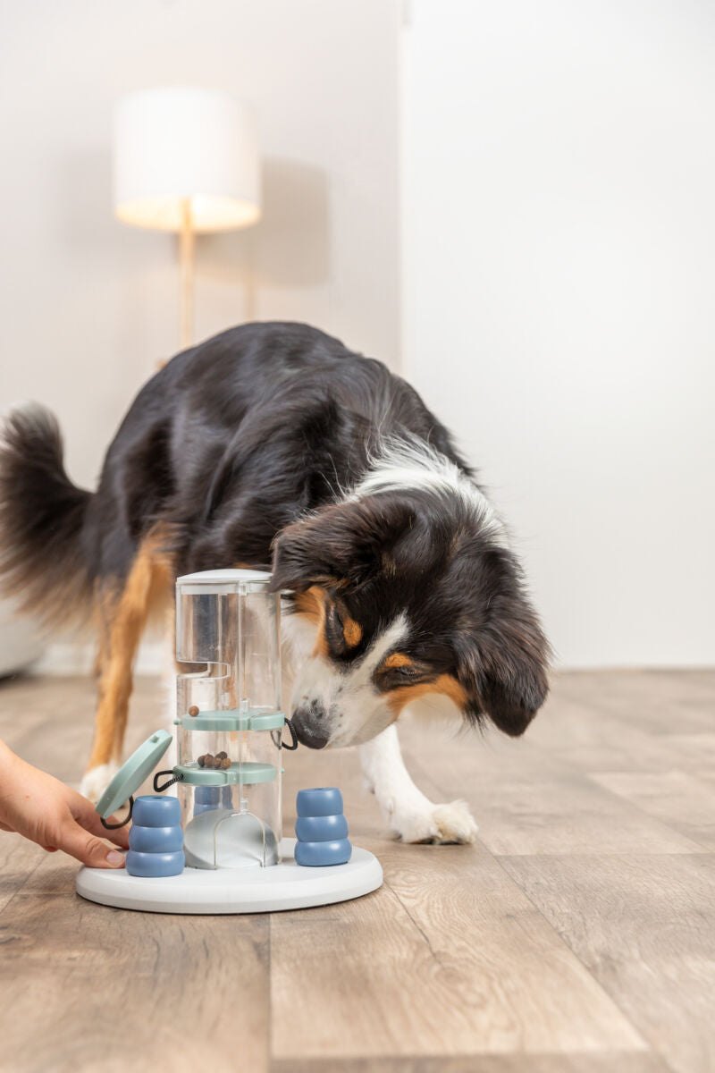 Hund schnuppert an einem Futterspender auf einem Holzboden in einem Raum mit Lampe.