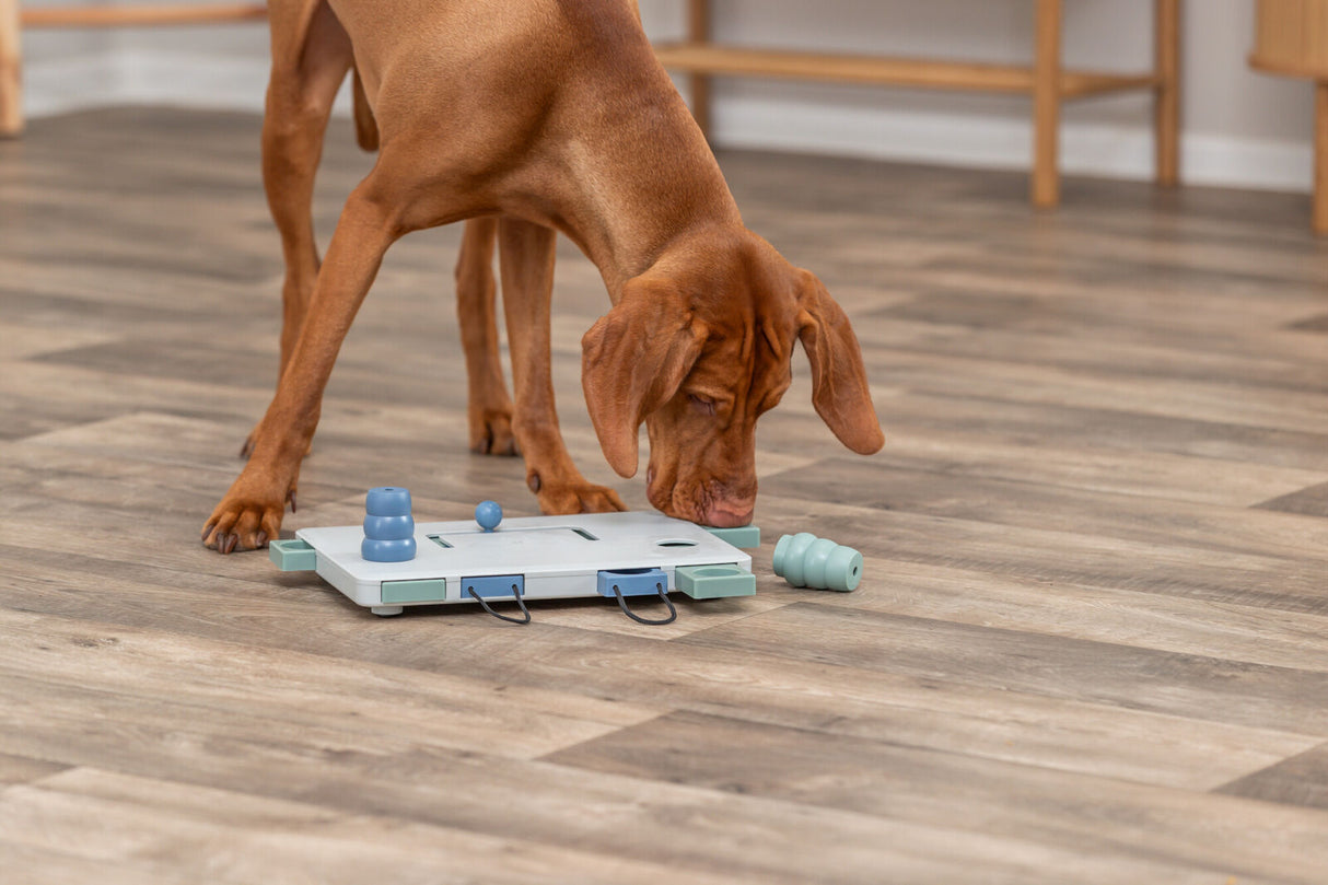 Move2Win Strategiespiel