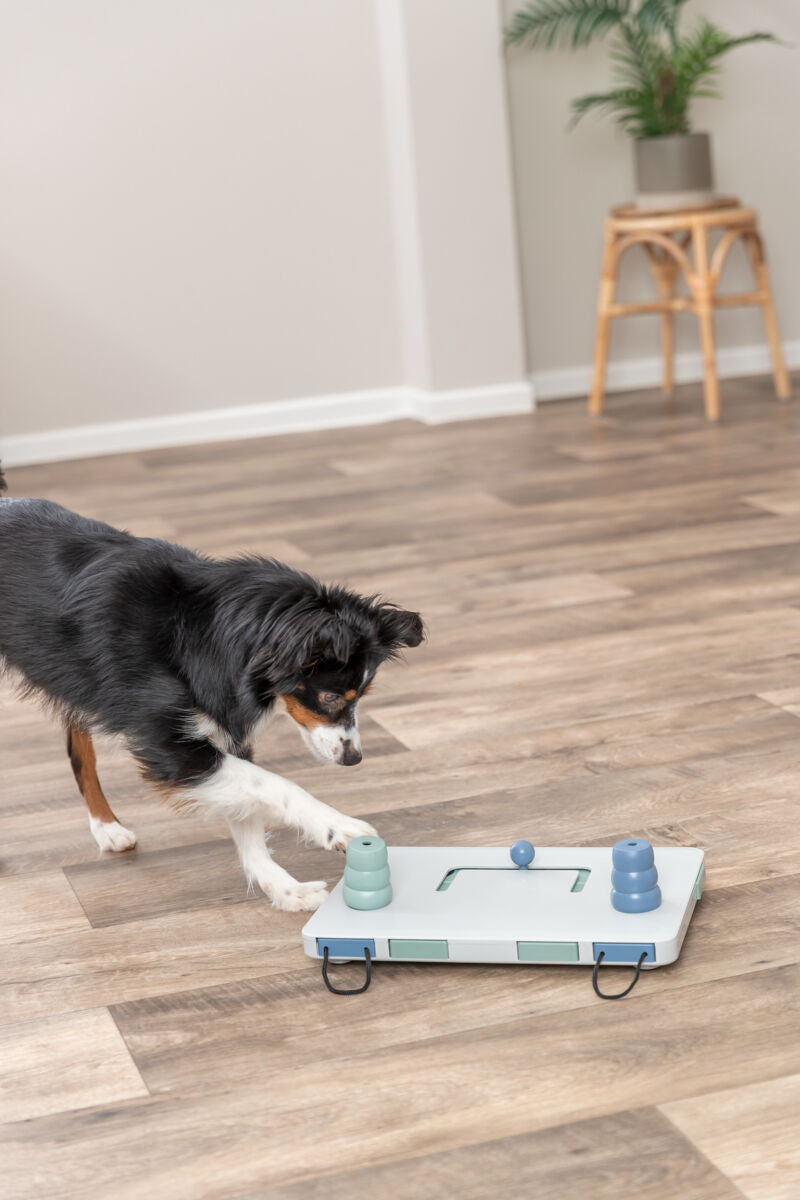 Move2Win Strategiespiel