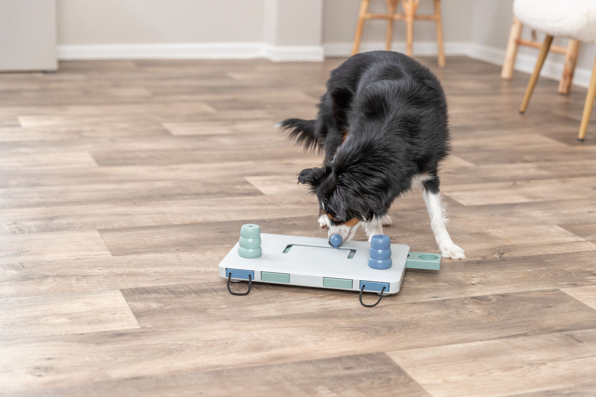 Hund spielt mit Intelligenzspielzeug auf Holzboden im Raum.