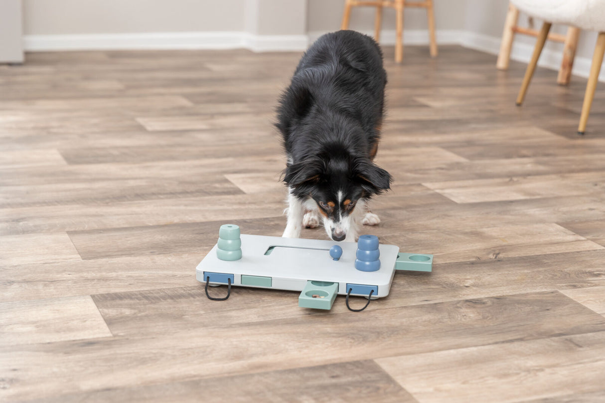 Move2Win Strategiespiel