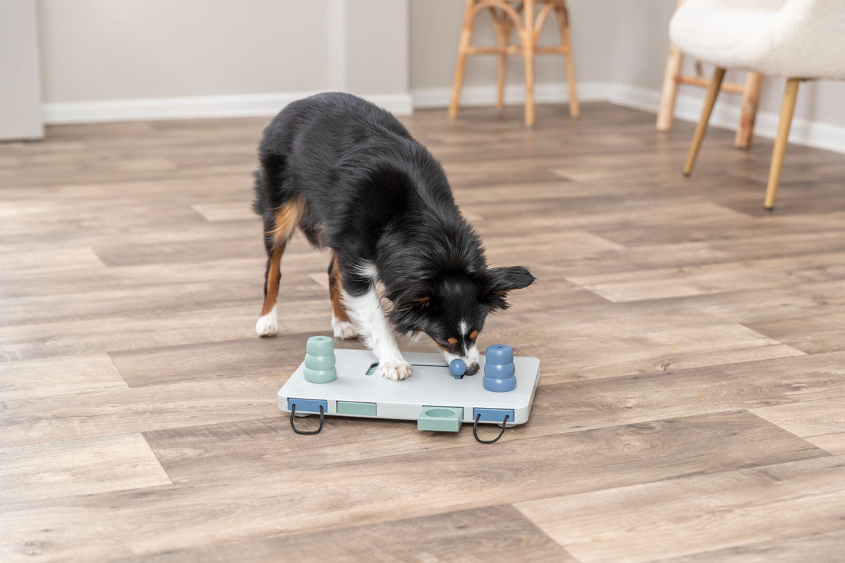 Ein Hund spielt mit einem Intelligenzspielzeug auf einem Holzfußboden.