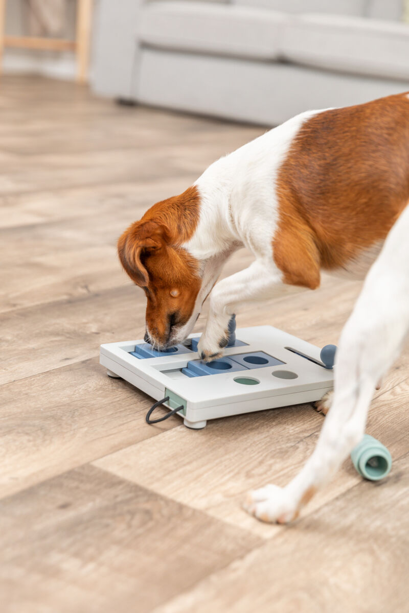 Mini Mover Strategiespiel