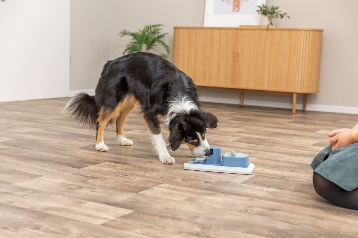 Hund schnuppert an einem blauen Hunde-Spielzeug auf Holzfußboden vor einem Schrank.