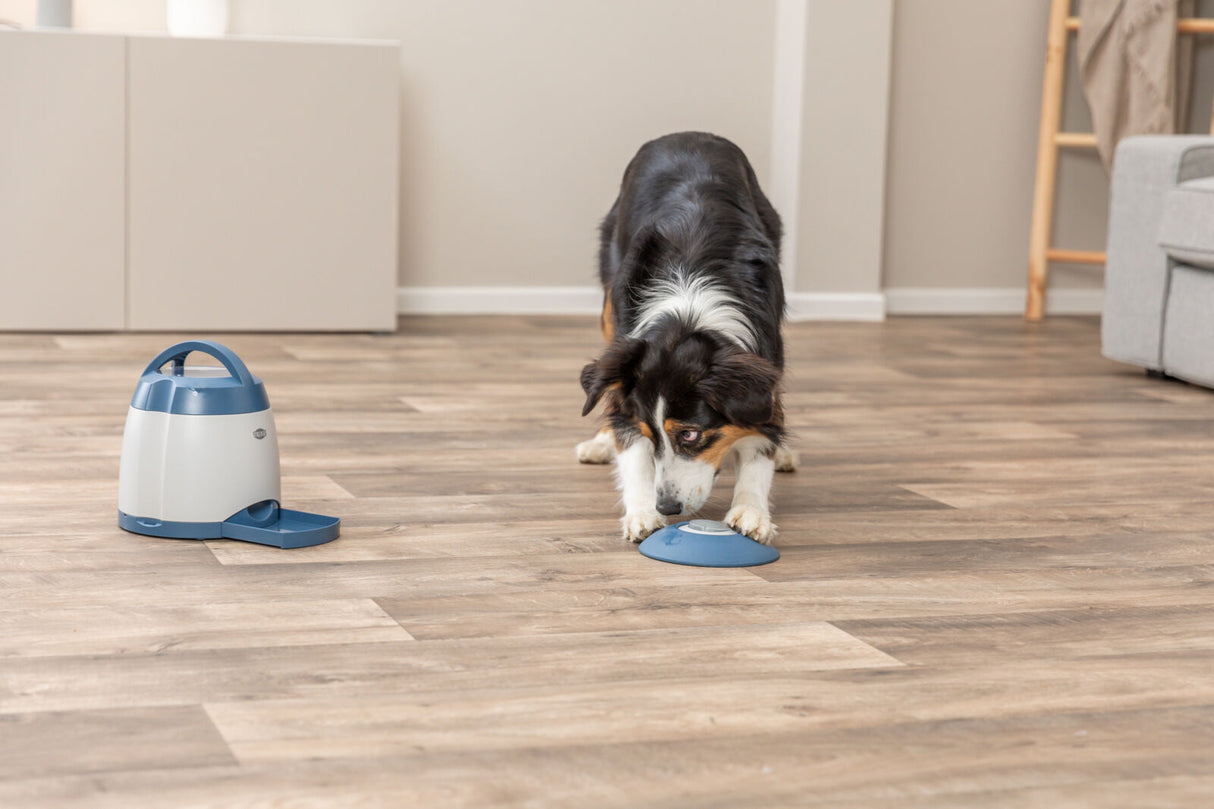 Memory Trainer 3.0 Strategiespiel