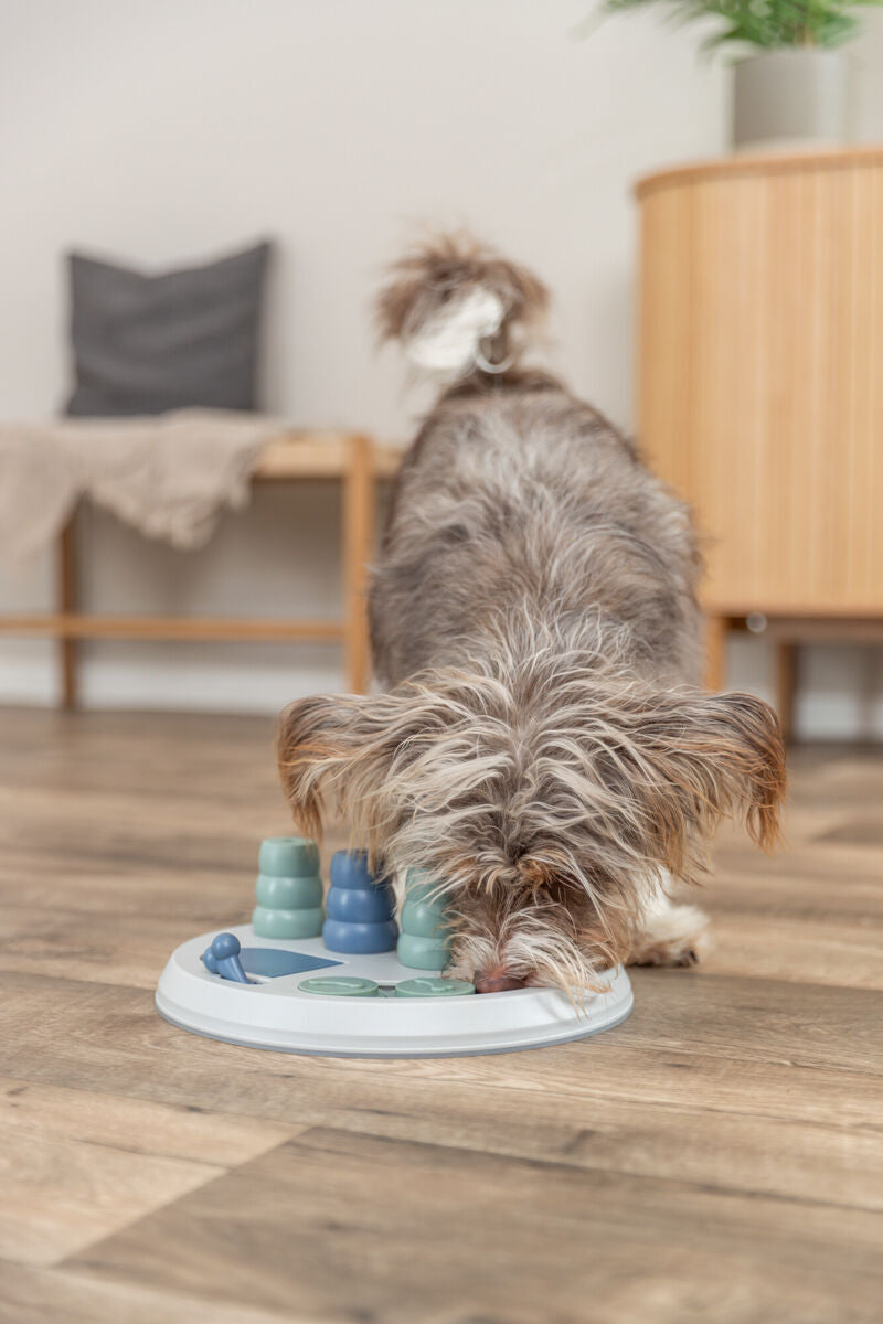 Ein Hund spielt mit einem runden, weißen Spielzeug auf einem Holzboden, Hintergrund unscharf mit Möbeln.