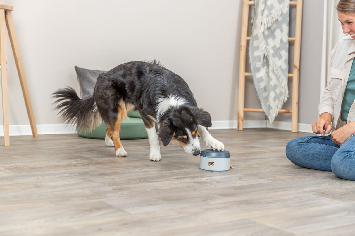 Ein Hund berührt mit der Pfote ein rundes Objekt auf einem Holzboden, neben ihm sitzt eine Person.