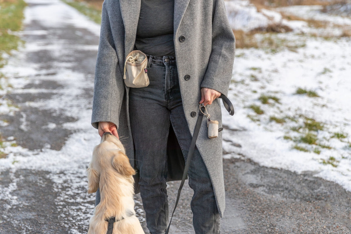 Person in grauem Mantel auf verschneitem Weg hält Hund an der Leine, Tasche und Spender am Gürtel.