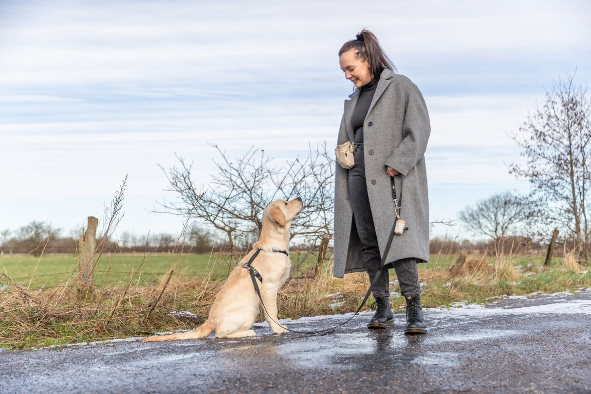 Frau in grauem Mantel hält Hund an der Leine auf einem Weg im Freien, Hund sitzt und schaut zu ihr auf.