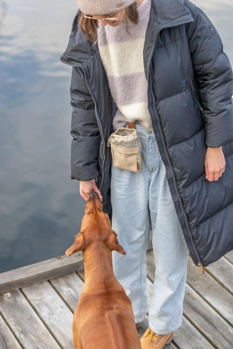 Eine Person mit dunkler Winterjacke und heller Jeans füttert einen braunen Hund auf einem Holzsteg.
