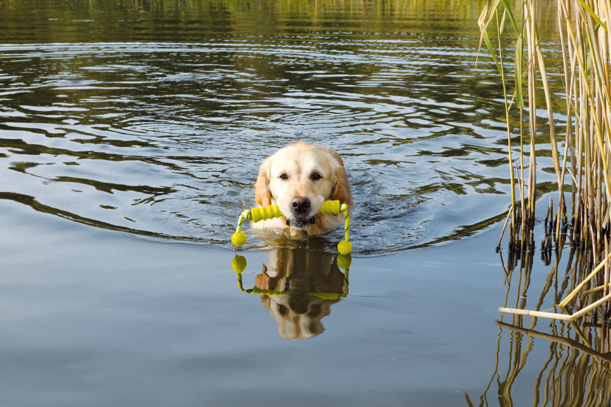 Ein Hund schwimmt im See und trägt ein gelbes Spielzeug im Maul.