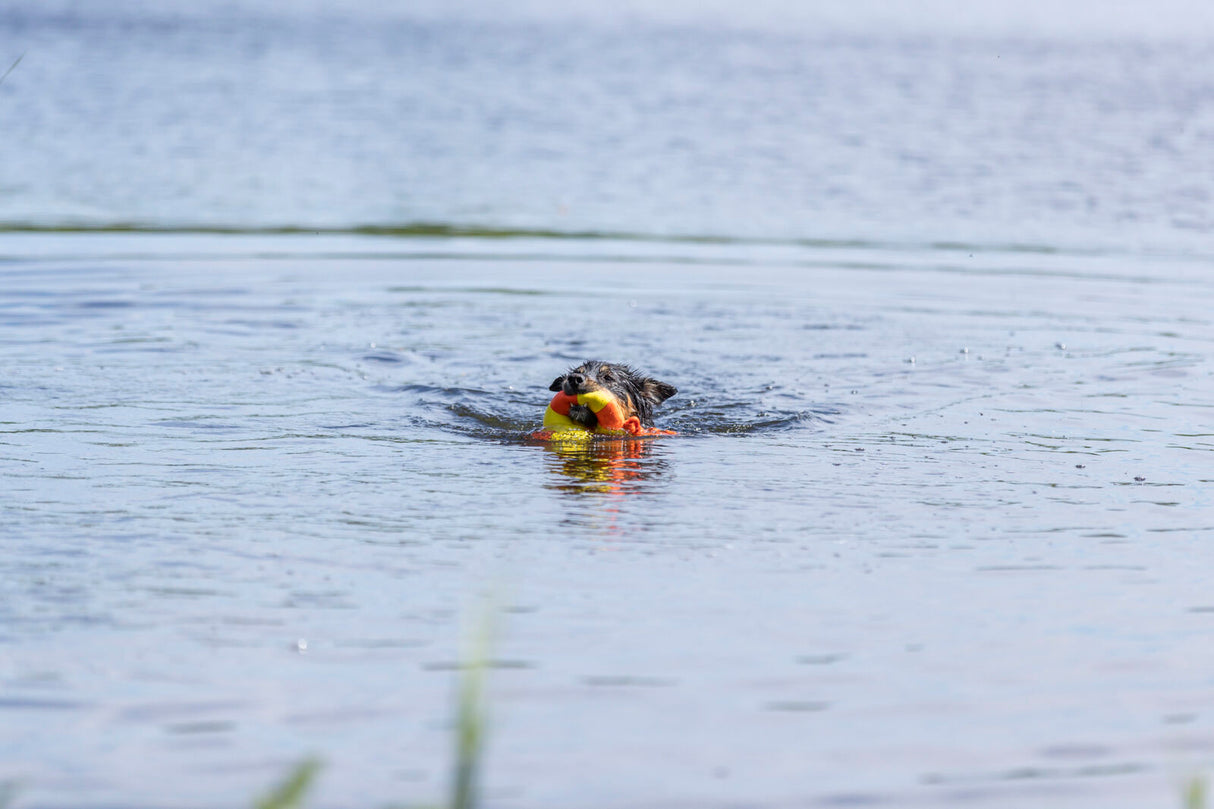 Aqua Toy Ente am Seil