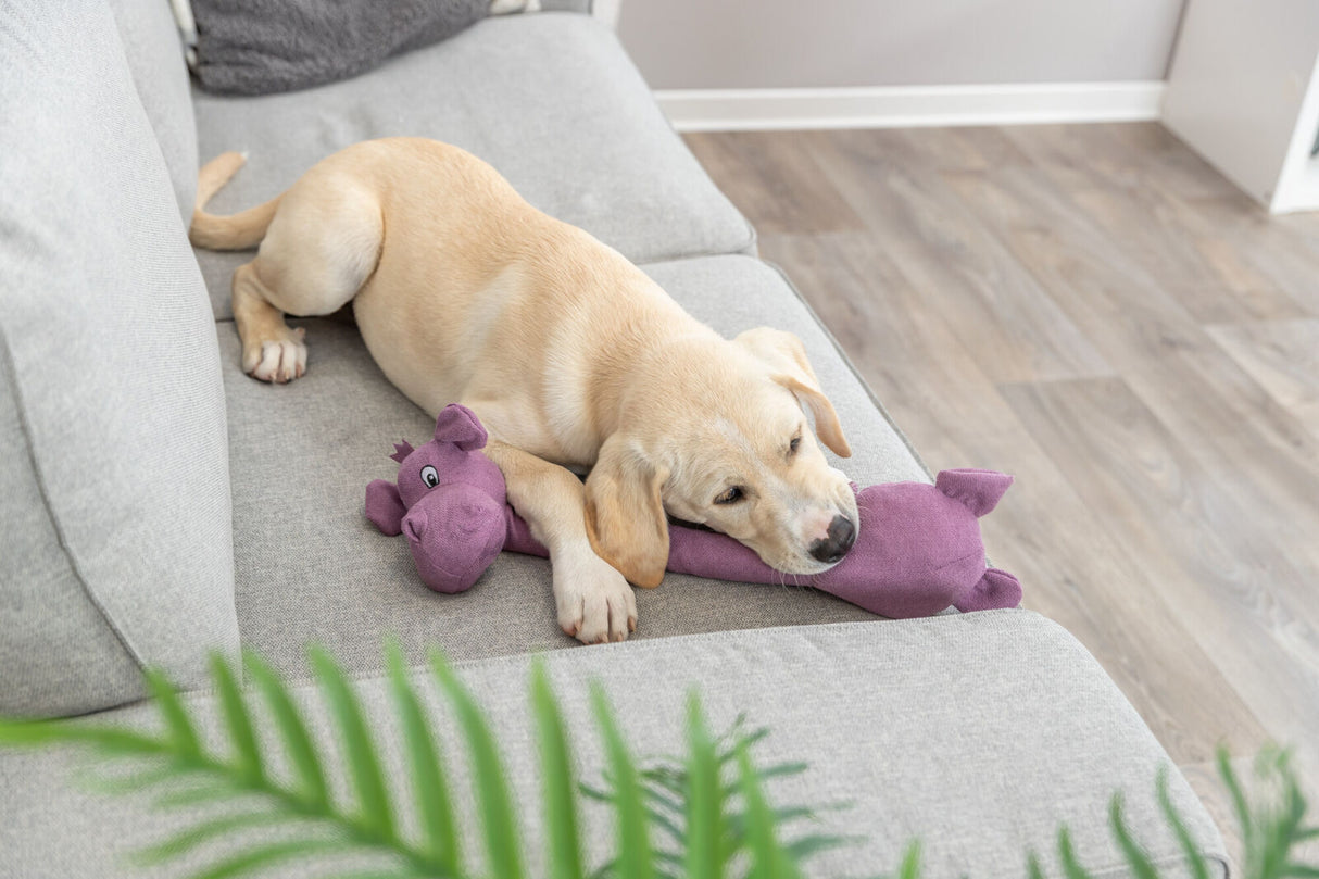 Ein hellbrauner Hund liegt auf einem grauen Sofa und kuschelt mit einem lilafarbenen Stofftier auf einem Holzboden.