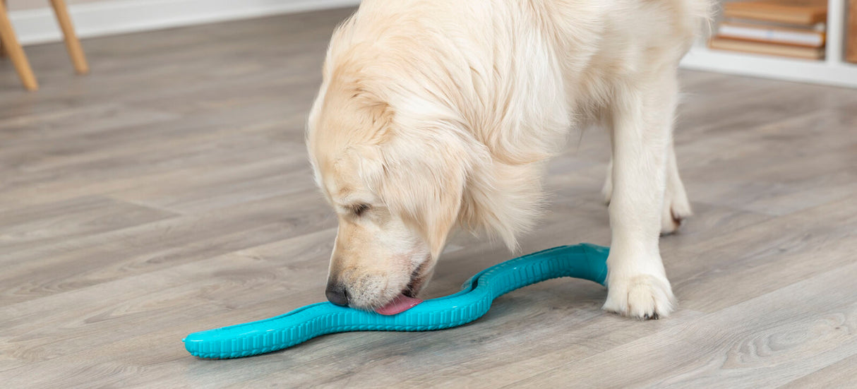 Ein Hund leckt ein gebogenes, blaues Spielzeug auf einem Holzboden.