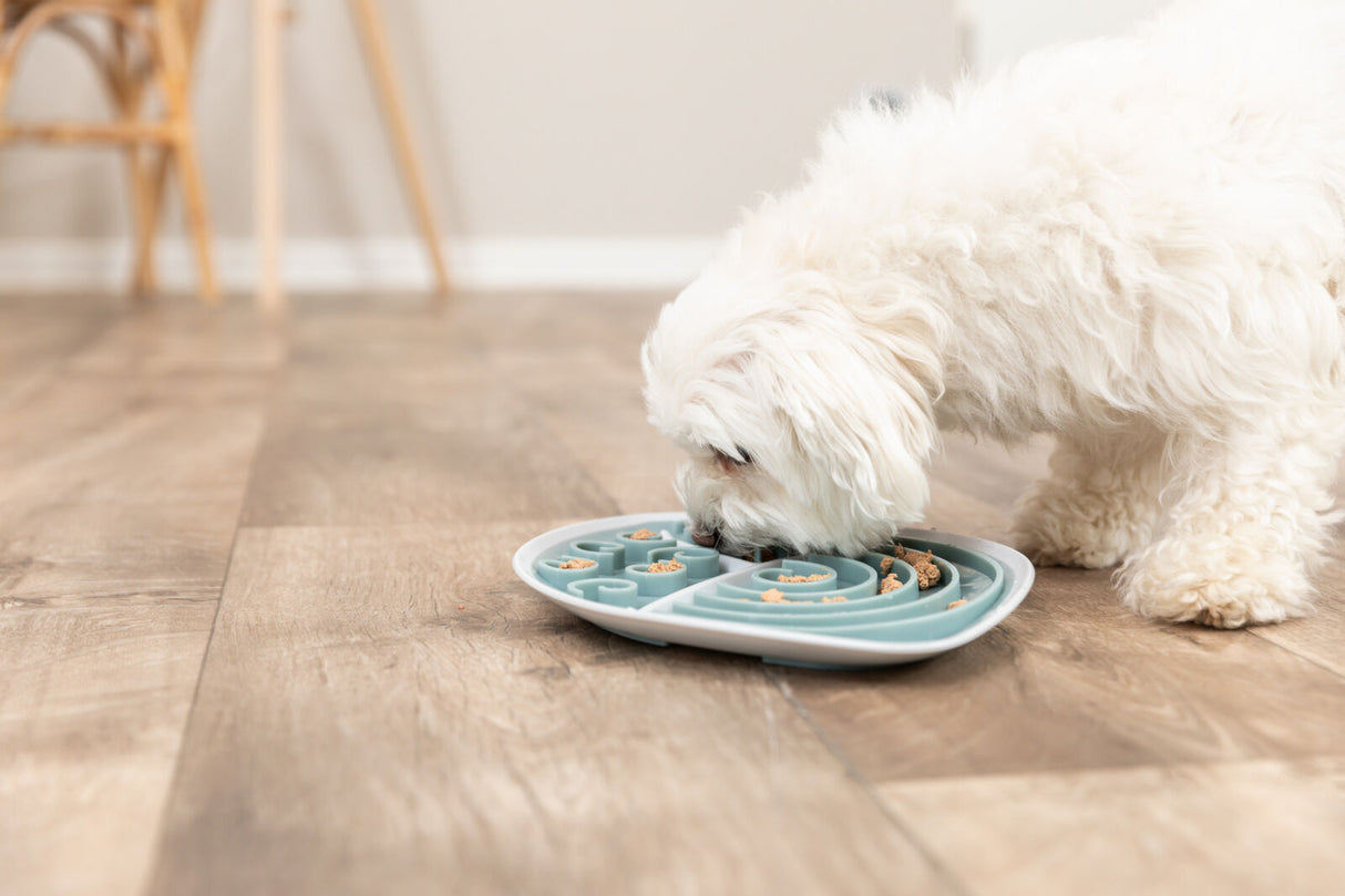 Weißer Hund frisst Futter aus einem blauen Labyrinth-Napf auf einem Holzboden.