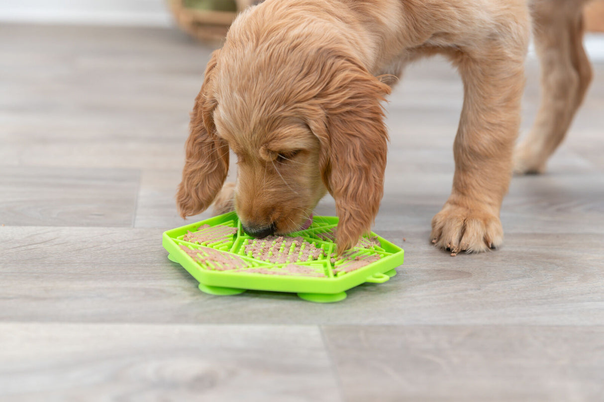Ein brauner Welpe leckt Futter von einer grünen, strukturierten Matte auf einem Holzboden.
