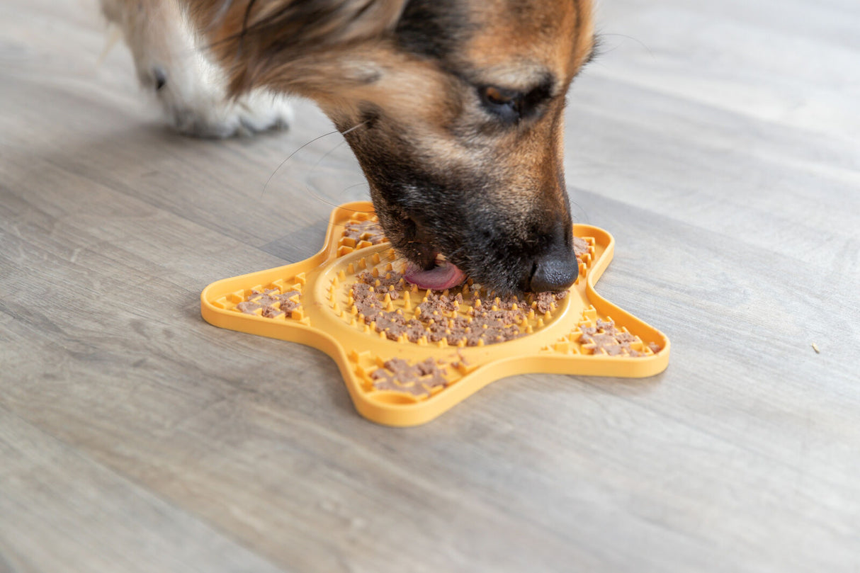 Hund leckt an gelber Matte mit Futter in Form eines Sterns auf hellbraunem Holzboden.
