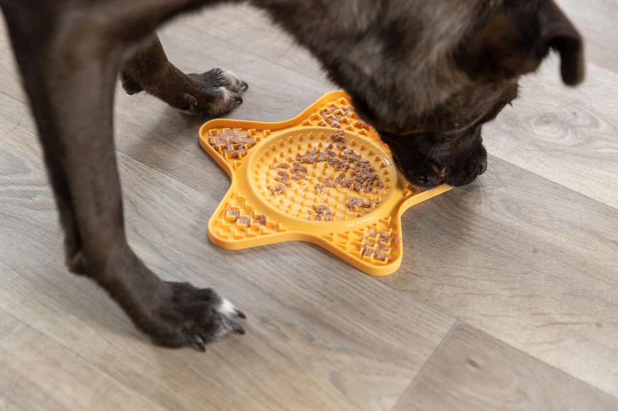 Hund frisst von einem sternförmigen, gelben Futterbrett auf einem Holzboden.
