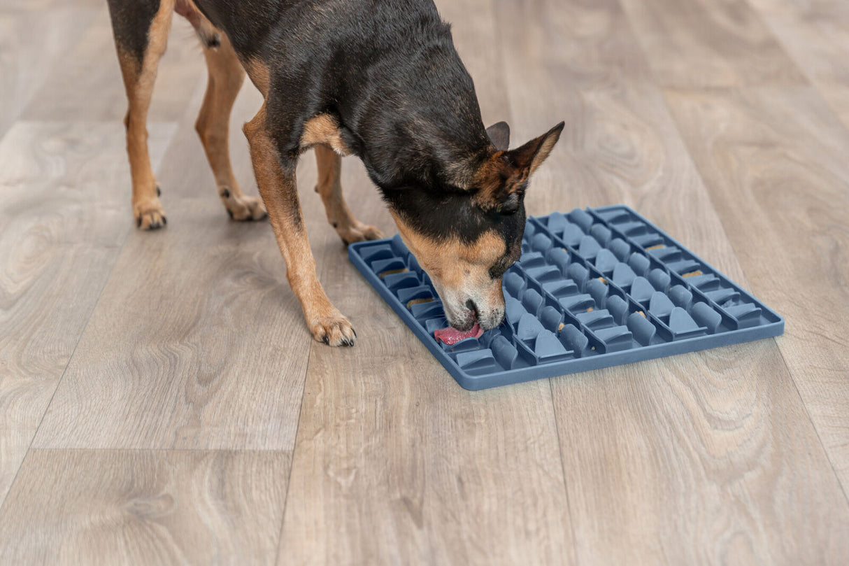 Hund leckt an einer blauen Lickmatte auf einem Holzboden.