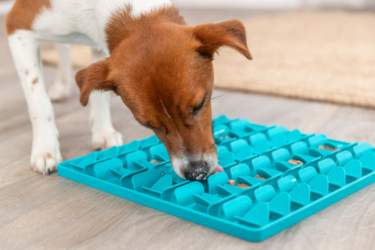 Hund leckt an blauer Schleckmatte auf Holzboden.