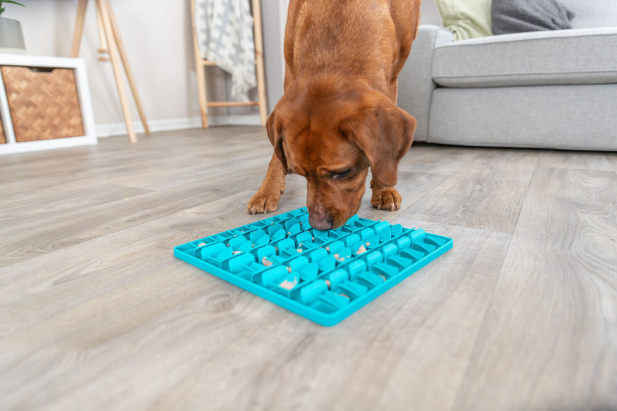 Hund schnüffelt auf dem Boden an einem blauen Futterspielzeug in einem modern eingerichteten Raum.
