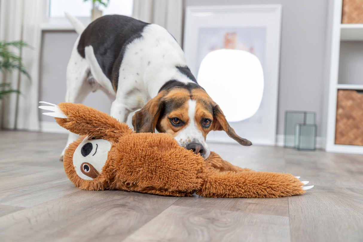 Hund spielt mit einem plüschigen, braunen Stofftier in Form eines Faultiers auf einem Holzboden in einem Raum.