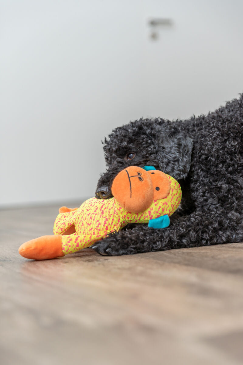 Schwarzer Hund liegt auf dem Boden und hält ein buntes Stoffspielzeug im Maul.