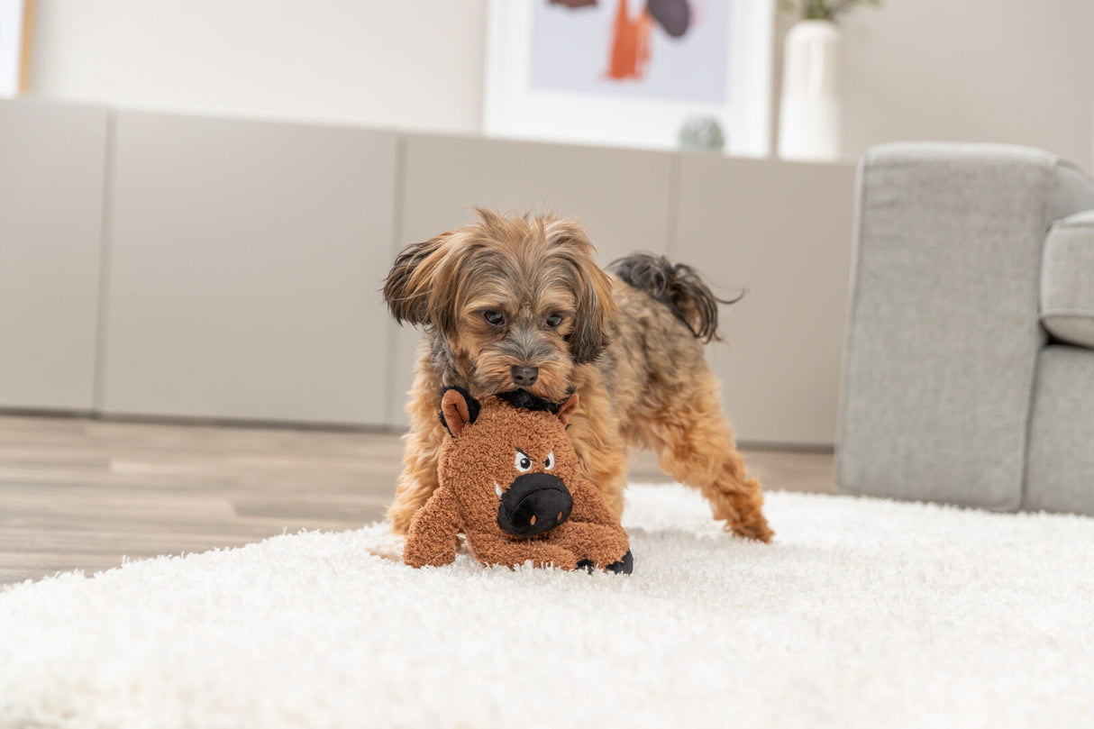 Ein kleiner Hund spielt auf einem weißen Teppich mit einem braunen Plüschtier in einem modern eingerichteten Wohnzimmer.