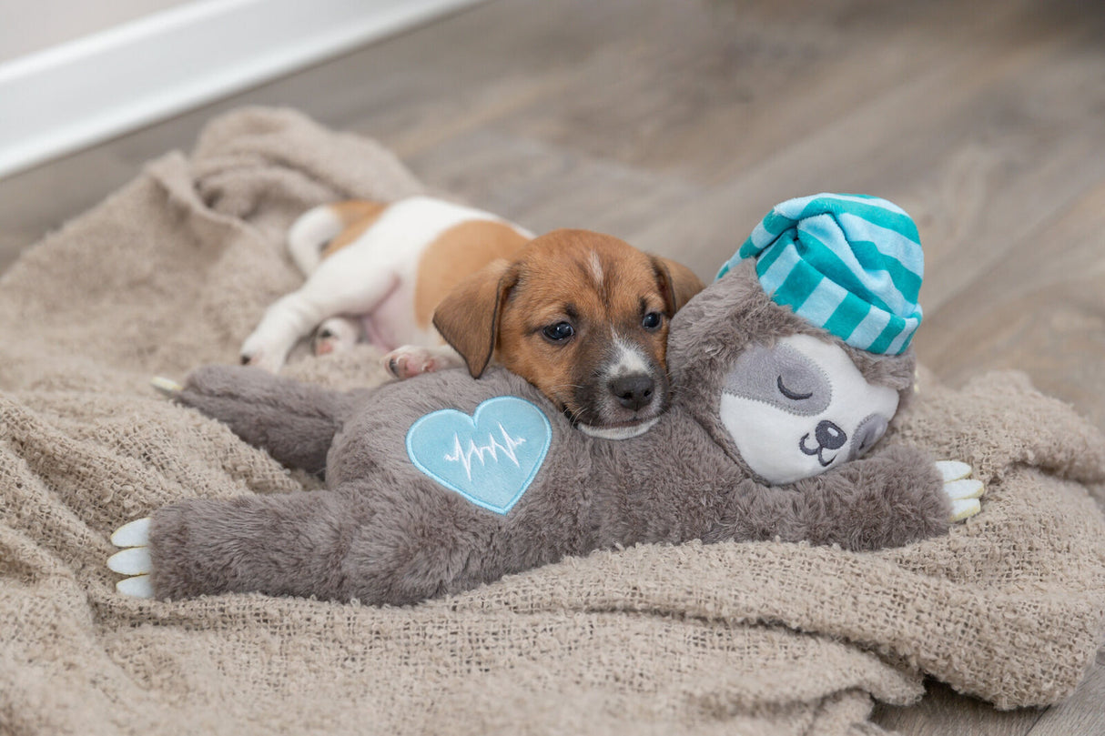 Ein Welpe liegt auf einer beigen Decke neben einem Plüschfaultier mit blauer Herzstickerei.