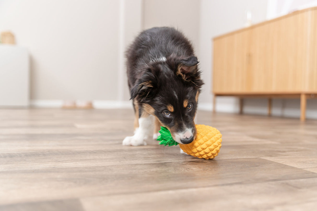 Hundespielzeug Ananas aus Latex mit Quietscher
