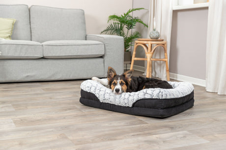 Hund liegt entspannt auf einem kuscheligen Hundebett in einem Wohnzimmer mit Sofa und Pflanzen im Hintergrund.