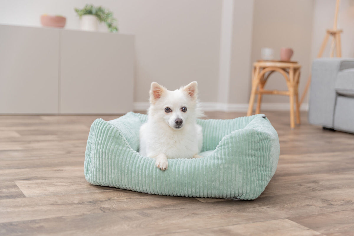 Orthopädisches Cord-Bett für Hunde und Katzen mit Rand und Memory-Foam