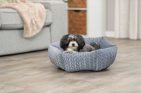 Ein kleiner Hund liegt entspannt auf einem grauen, strukturierten Hundebett in einem hellen Wohnzimmer.
