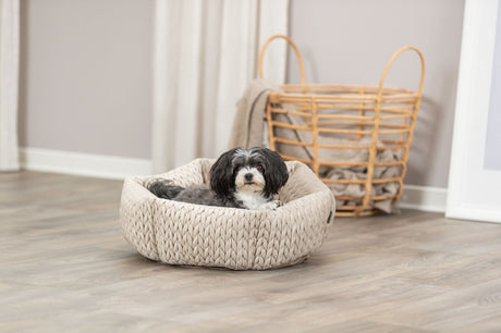 Ein kleiner Hund liegt in einem runden, beige geflochtenen Tierbett auf einem Holzfußboden vor einem Korb.