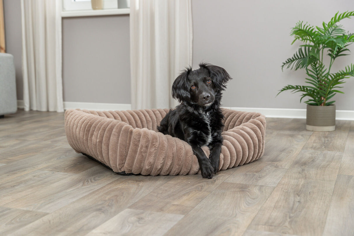 Ein schwarzer Hund liegt in einem braunen, gerippten Hundebett in einem Raum mit Holzboden und Topfpflanze.