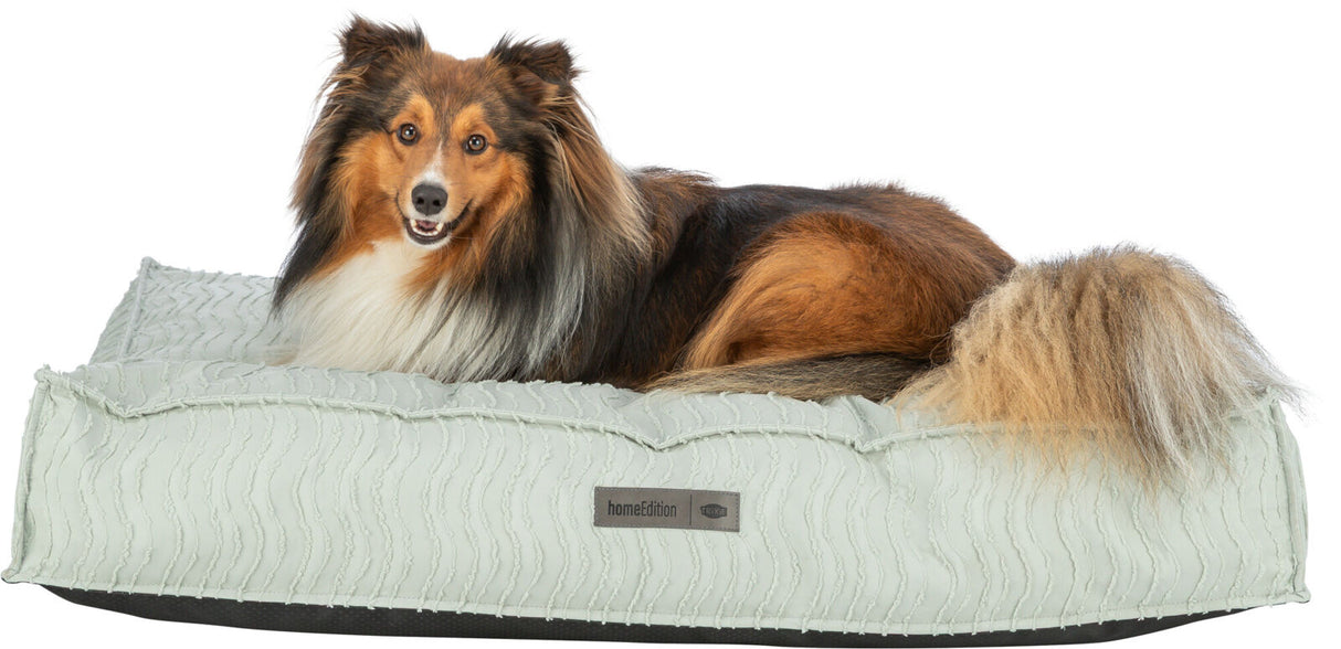 Ein Hund mit langem Fell liegt auf einem hellen Hundebett mit Struktur, Text "homeEdition" sichtbar.