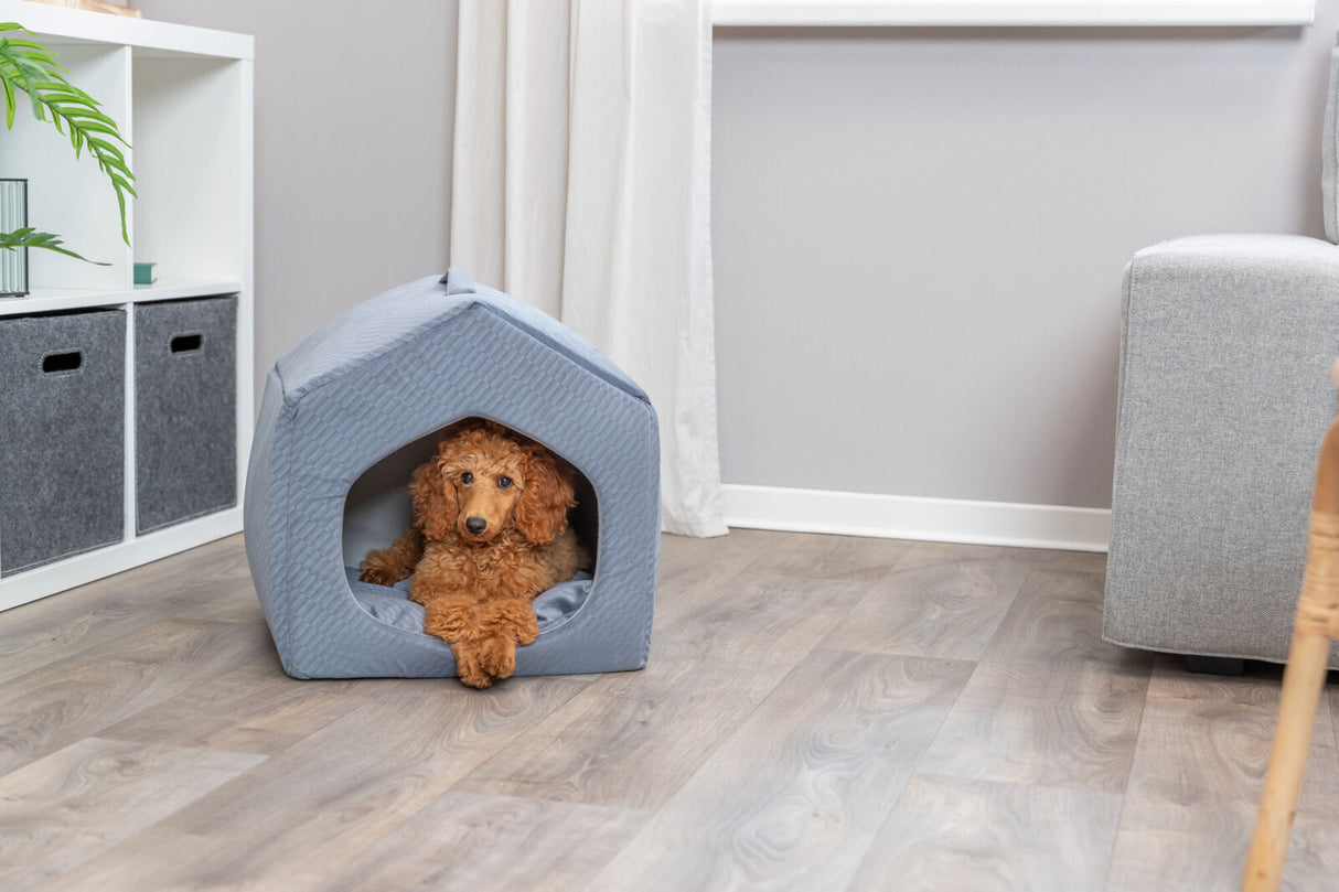 Ein kleiner brauner Hund liegt in einem grauen, zeltförmigen Hundebett auf einem Holzfußboden.